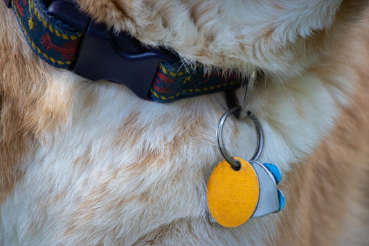 Why Engraved Pet ID Tags Are Essential for Active Pets - Pet ID Tags