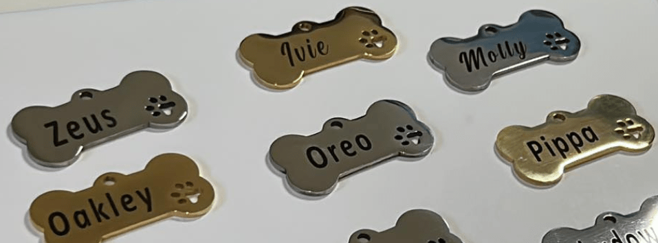 Why Stainless Steel is Best for Dog Tags - Pet ID Tags