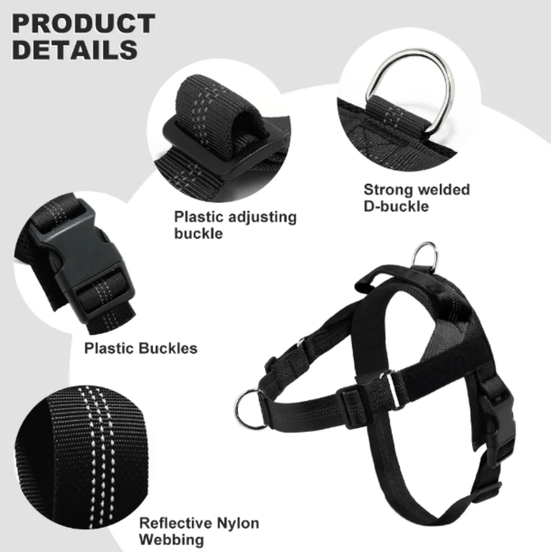 Personalised Harness - Black