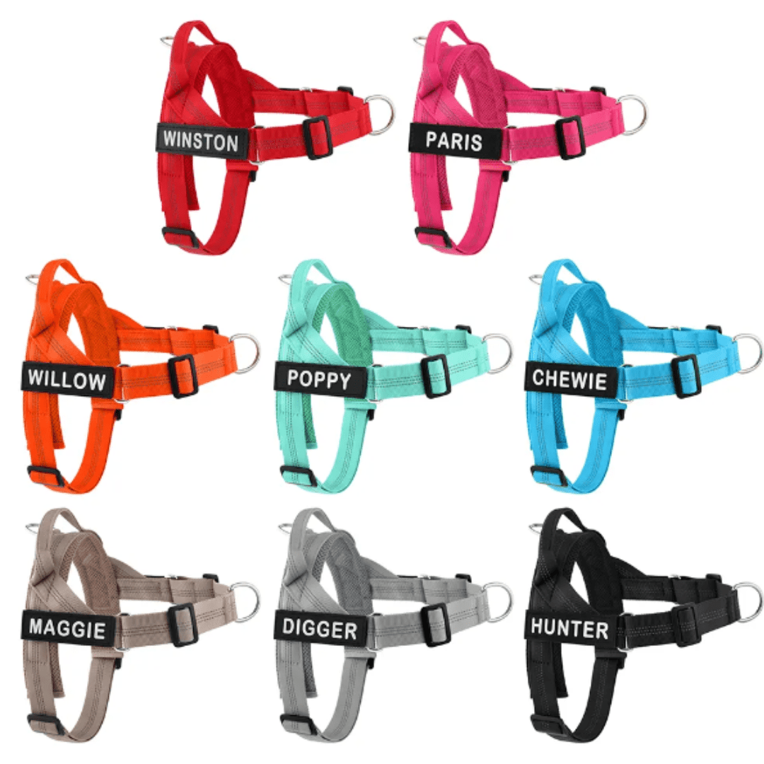 multiple dog harnesses with names in different colours