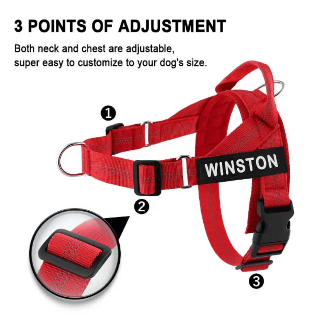 Personalised Black Dog Harness - Comfy, Custom & Cute