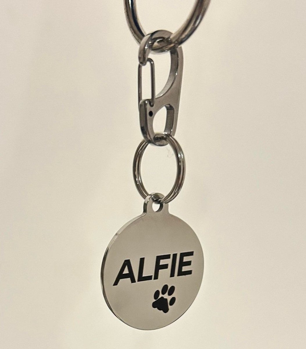Quick Clip for Dog Tags
