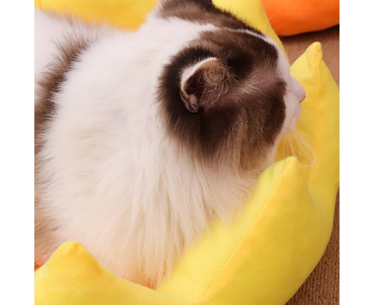 Pet Bed Ultra-Thick Excellent Ductility Washable Long Fluffy Pet Dog round Bed Kennels for Household-Yellow