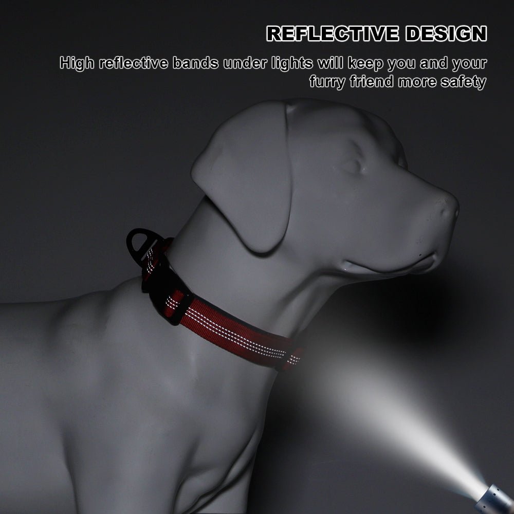 Dog Collar — Neoprene, Nylon & Padded Reflective - Pet ID Tags