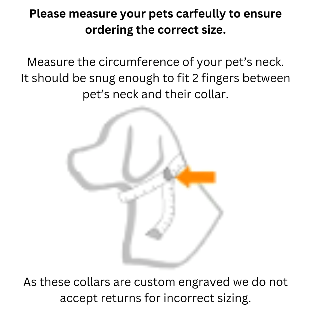 Measure your dog's neck accurately for the perfect fit of the Personalised Dog Collar Classic Leather, made in Australia.