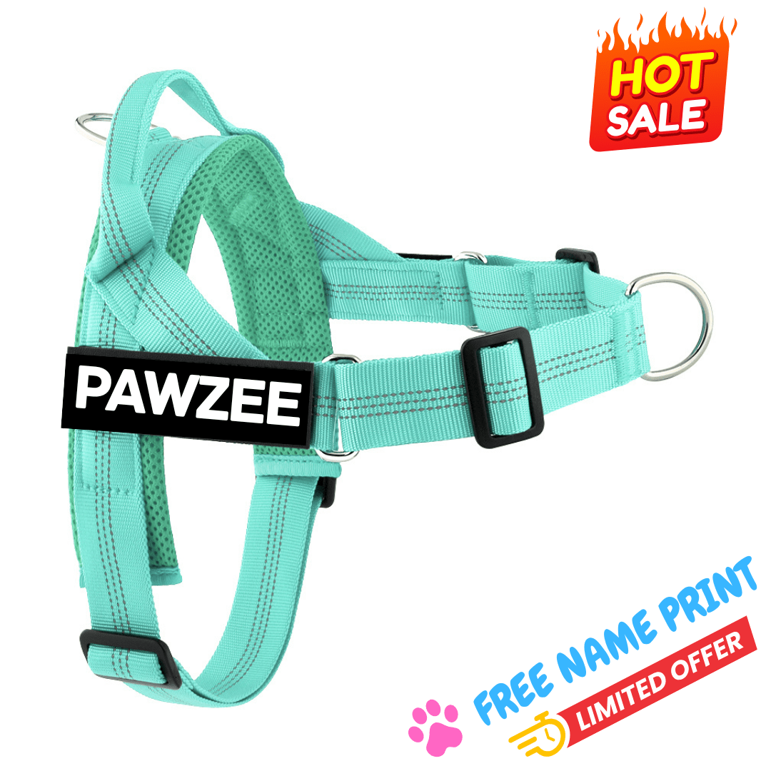 Teal Dog Harness with name