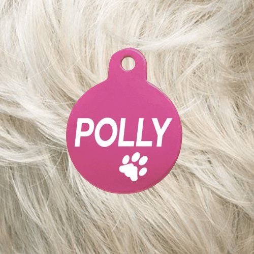 Cat Collar with Pet ID Tag