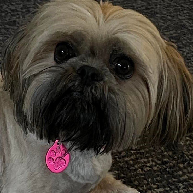 Pink Pawzo Pet ID Tags