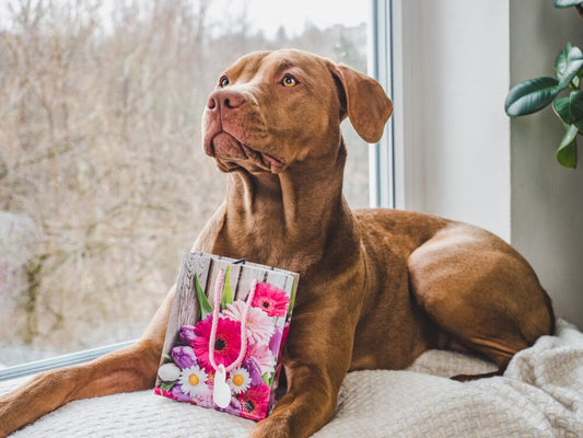 12 Unique Pet Memorial Gifts That Celebrate the Life of a Cat or Dog