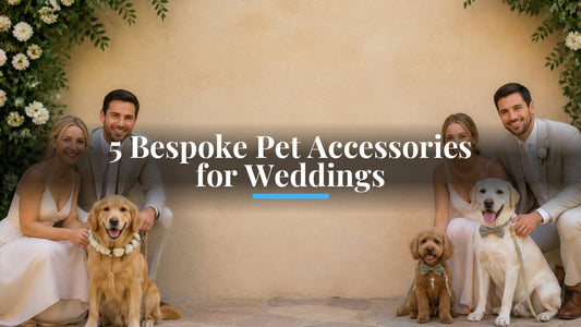 5 Bespoke Pet Accessories for Weddings