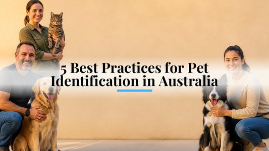 5 Best Practices for Pet Identification in Australia