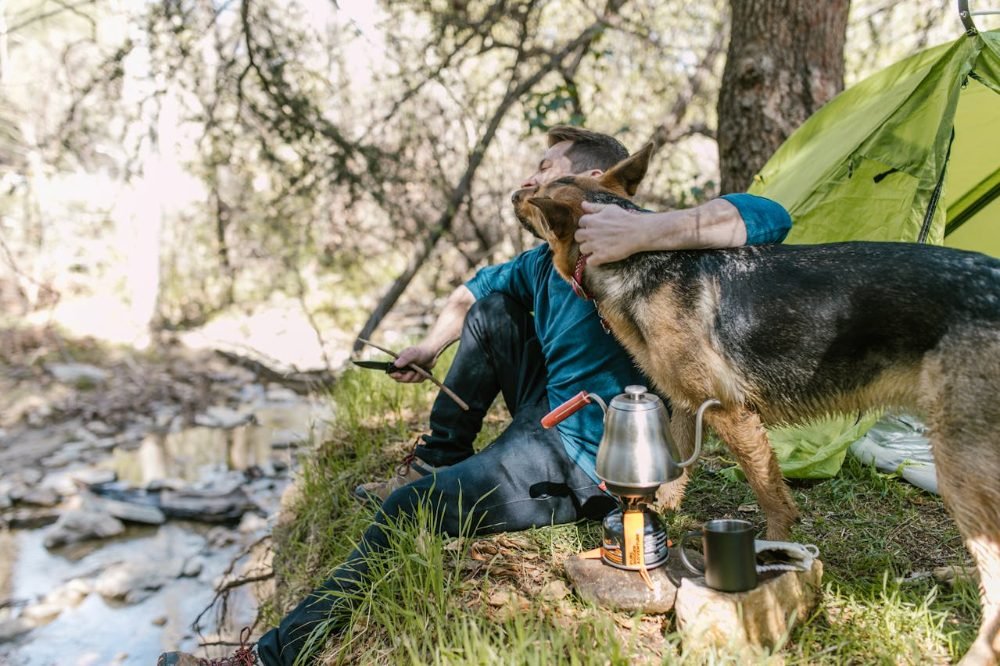 The Ultimate Guide For Camping With A Dog