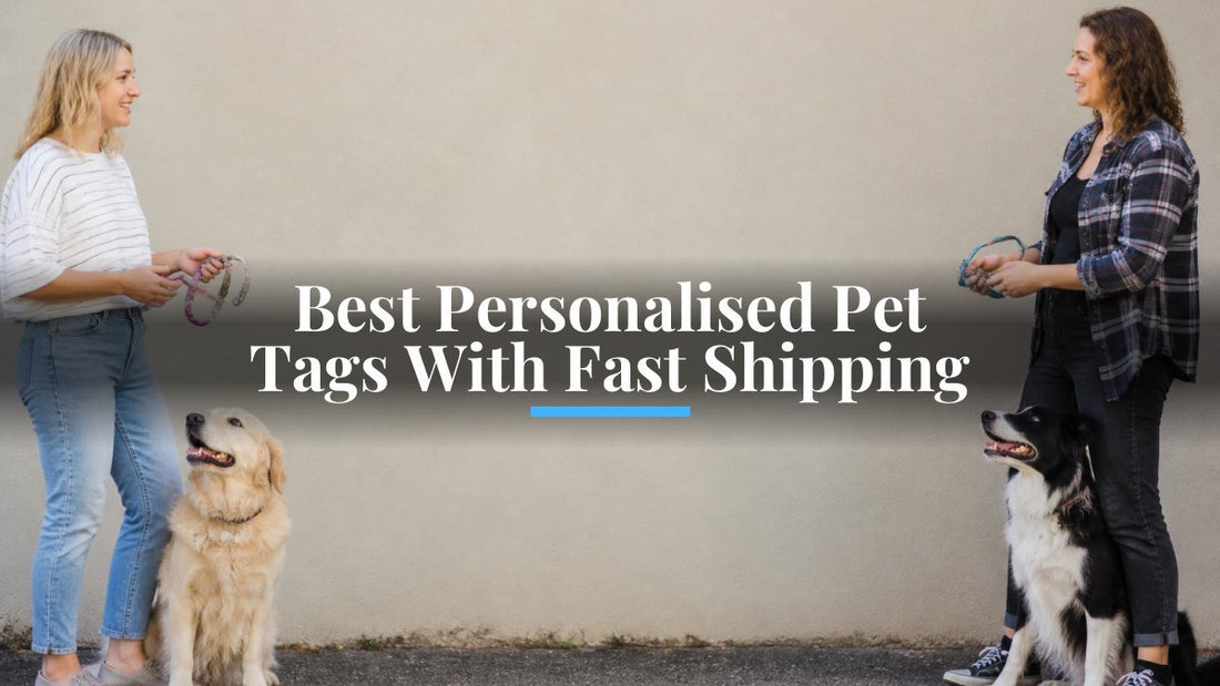 Best Personalised Pet Tags With Fast Shipping