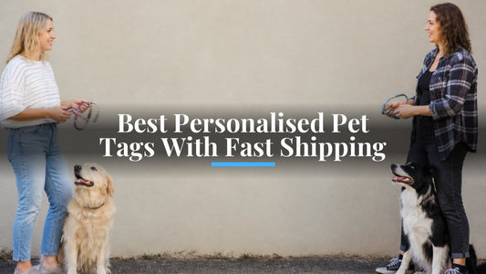 Best Personalised Pet Tags With Fast Shipping