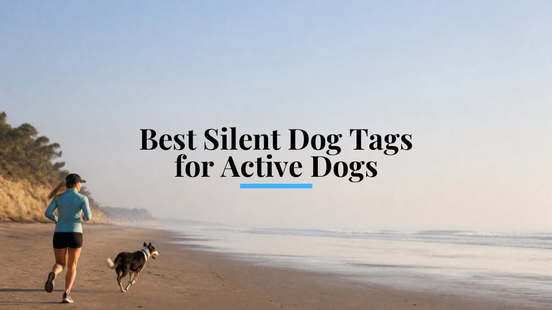 Best Silent Dog Tags for Active Dogs