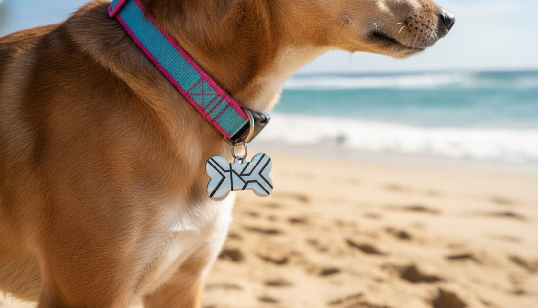 Durable dog tags Australia: 10-year warranty on deep engraving