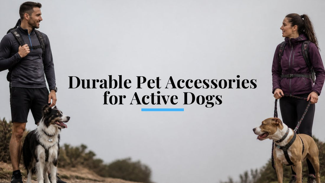 Durable Pet Accessories for Active Dogs