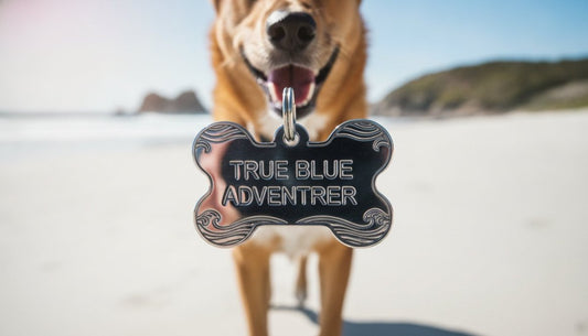 Engraved Dog Tags Australia: The 2026 Guide to Permanent Pet ID