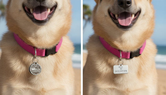 Engraved vs Printed Pet Tags: Which Is Best for Your Dog in 2026?