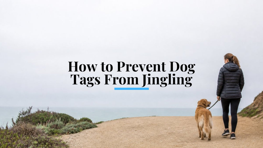 How to Prevent Dog Tags From Jingling