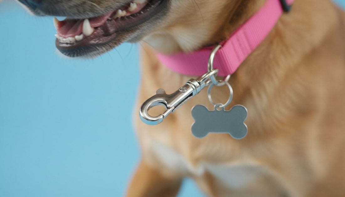 Pet Tag Quick Clips: The 2026 Guide to Secure and Easy ID Attachment