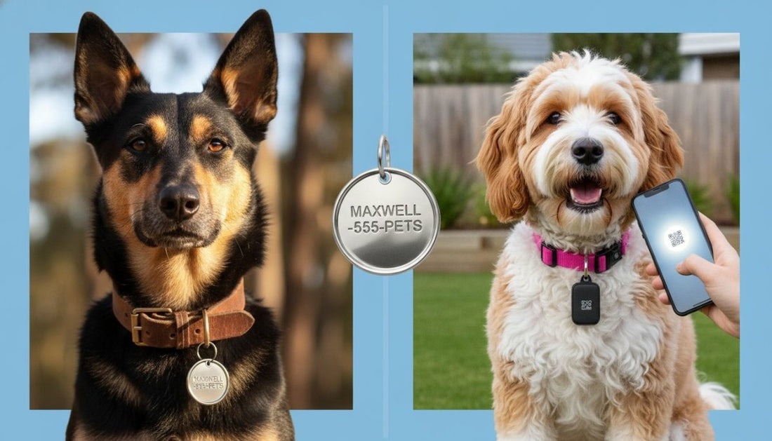 Smart Tag vs Engraved Tag: The 2026 Australian Guide to Pet Safety
