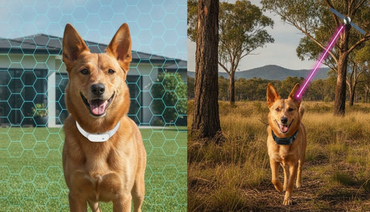 Smart Tags vs GPS Trackers Australia: Which is Best for Your Pet in 2026?