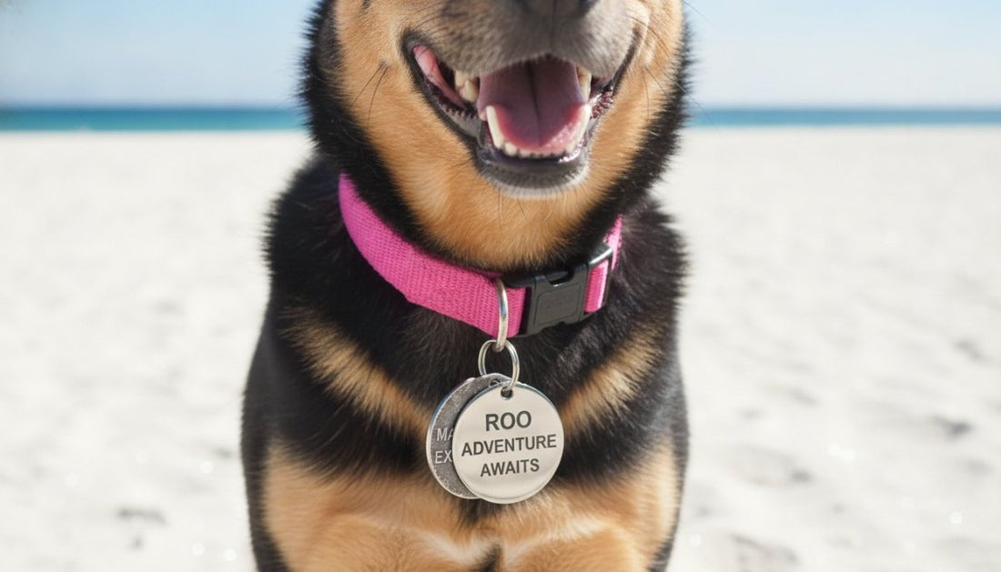 Stainless Steel vs Aluminium Dog Tags: The 2026 Australian Buyer’s Guide