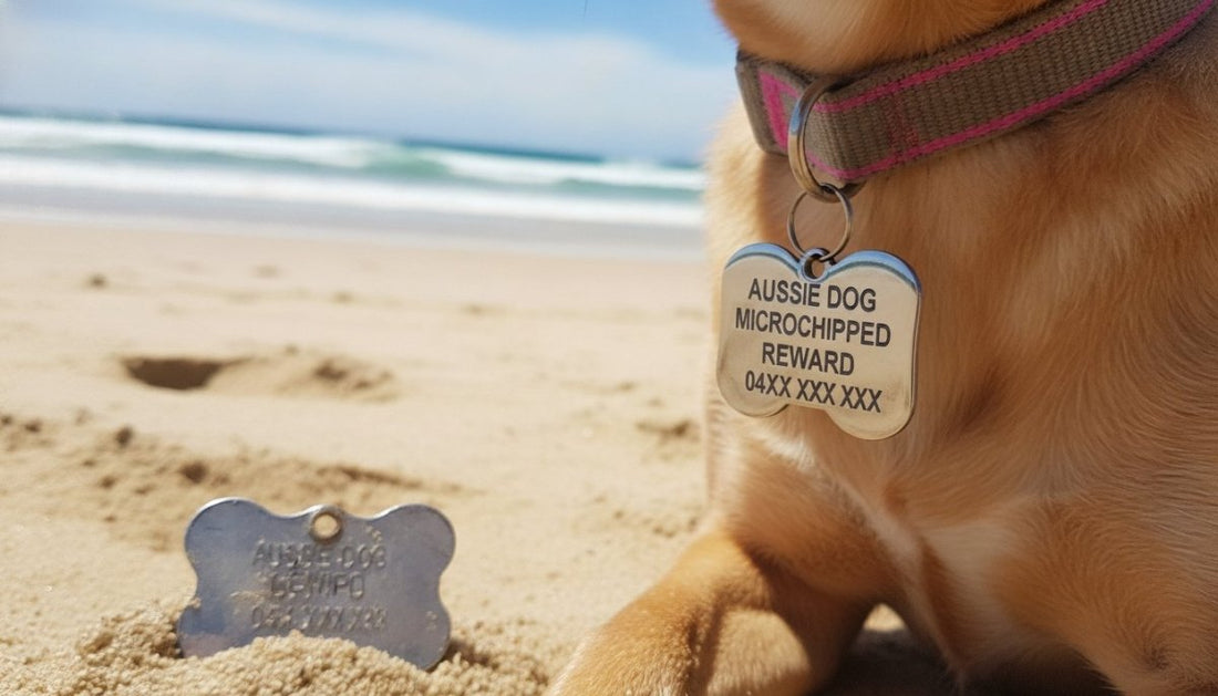 Stainless Steel vs Aluminium Dog Tags: The 2026 Durability Comparison