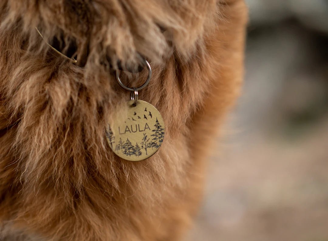 The Essential Need for Personalized Pet Identification