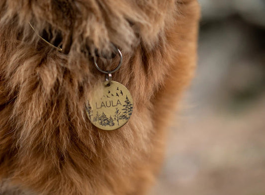 The Essential Need for Personalized Pet Identification
