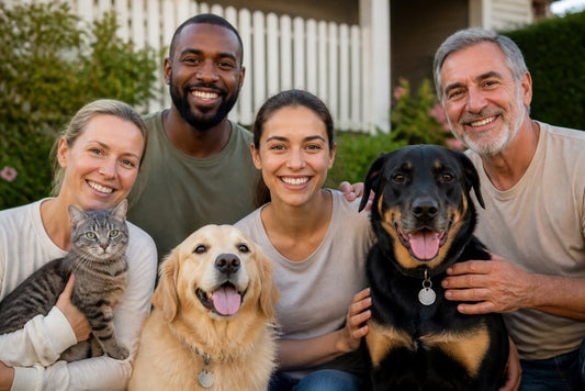 Why Your Pet Needs ID: A Complete Guide