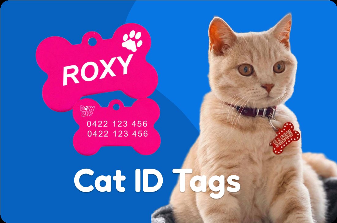 Dog and cat tags outlet