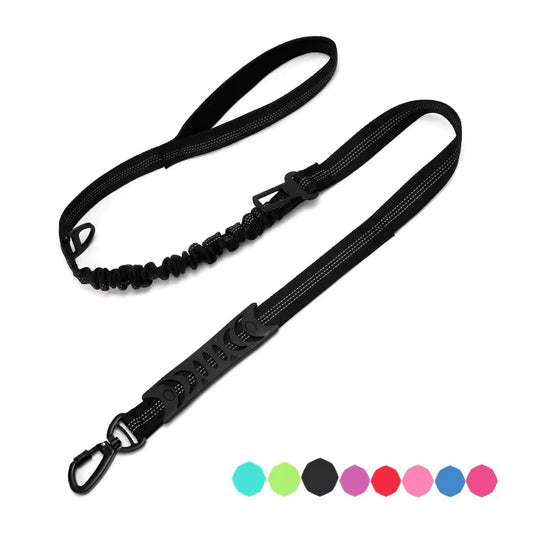 Bungee Dog Leash with Car Seat Belt Clip