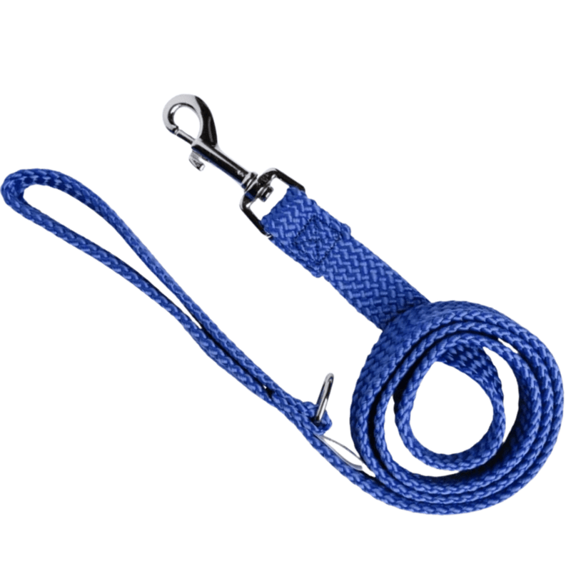 Durable Dog Lead Double Nylon - Blue