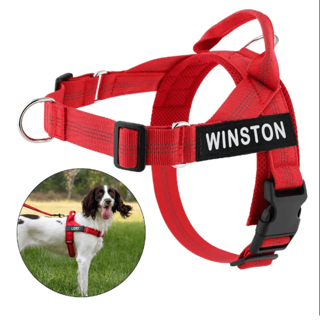 Personalised Dog Harness - BEIGE offers comfort, adjustability, and durability for pulling dogs, perfect for daily walks.