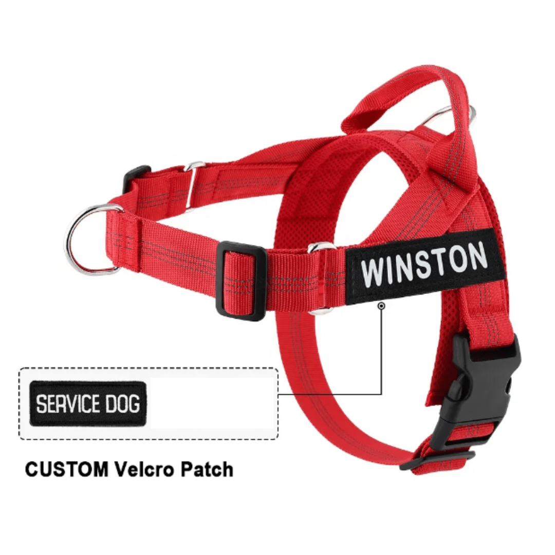 Personalised Dog Harness - PINK