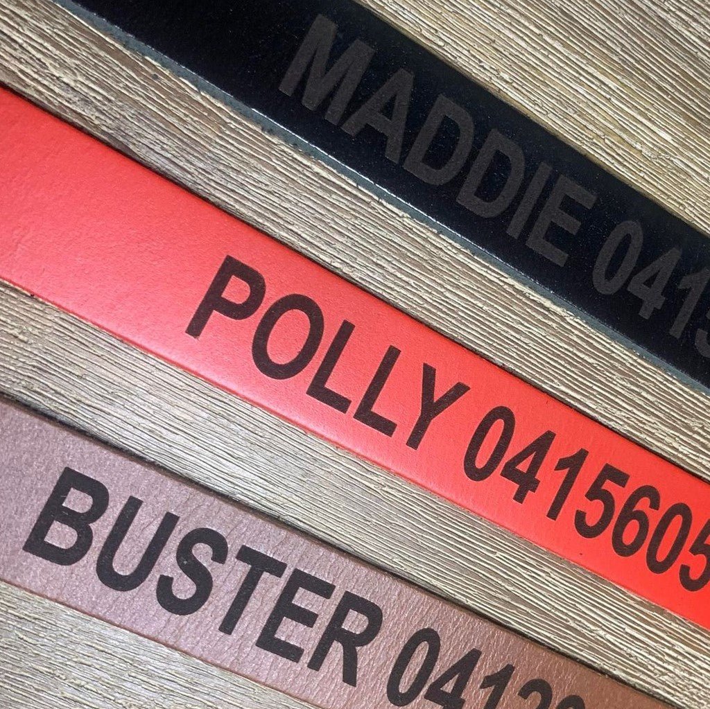 Personalised Dog Collar Classic Leather in vibrant colors, showcasing pet names engraved for a stylish touch.