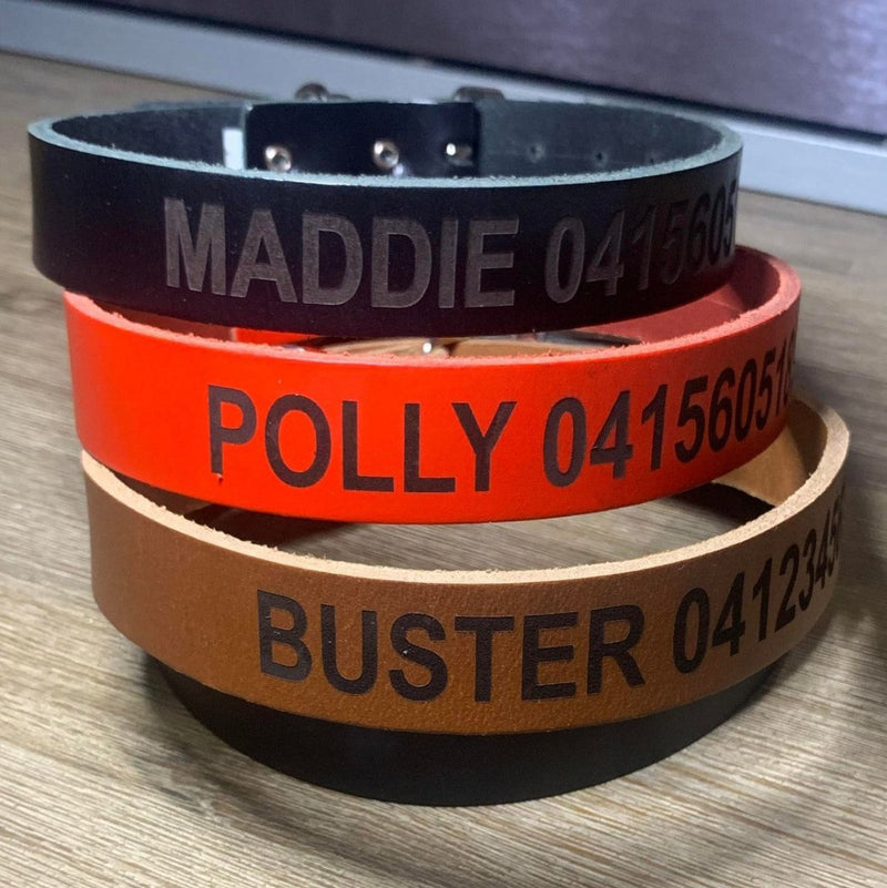 Stylish Personalised Dog Collar Classic Leather options in vibrant colors, perfect for your furry friend's comfort.