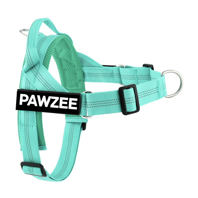 Personalised Dog Harness - Teal