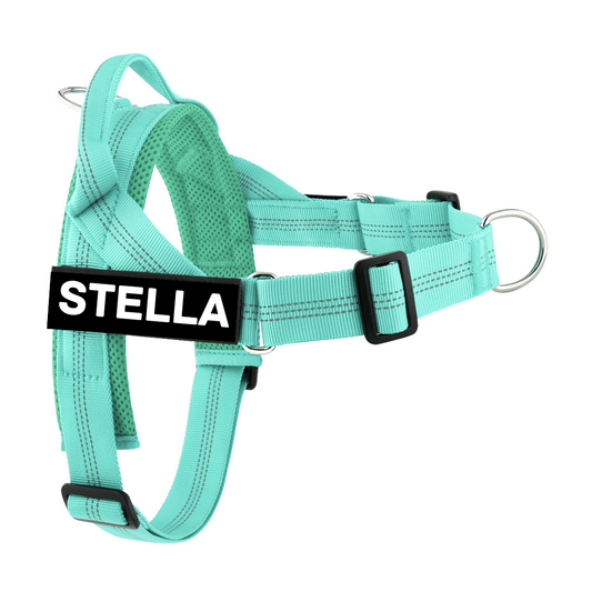 Personalised Dog Harness - TEAL