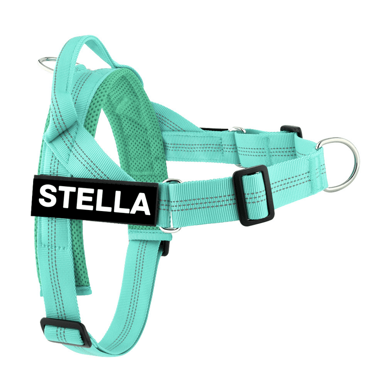 custom harness