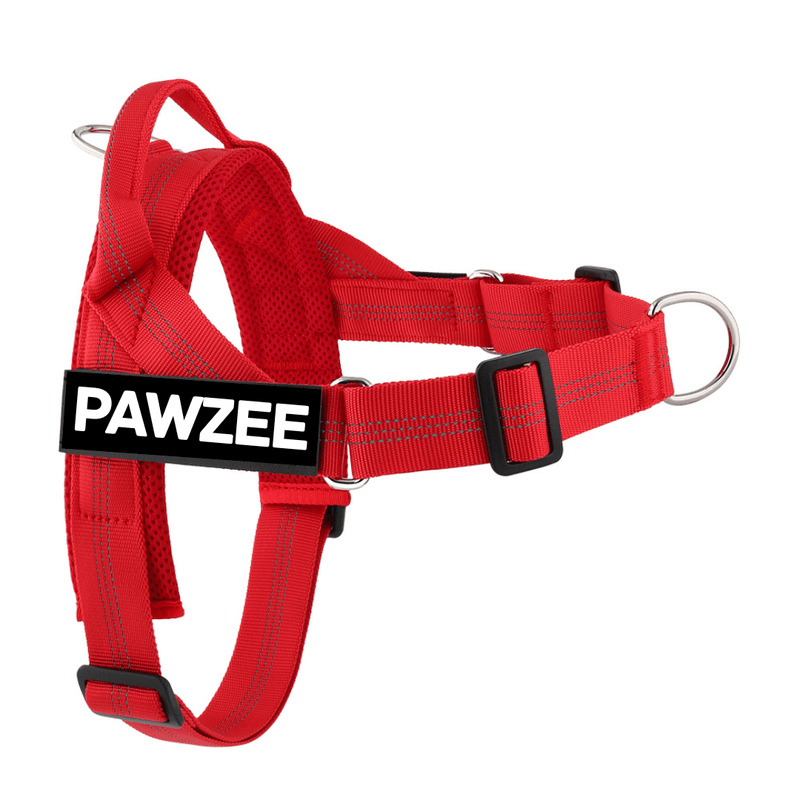 Personalised Dog Harness - Red