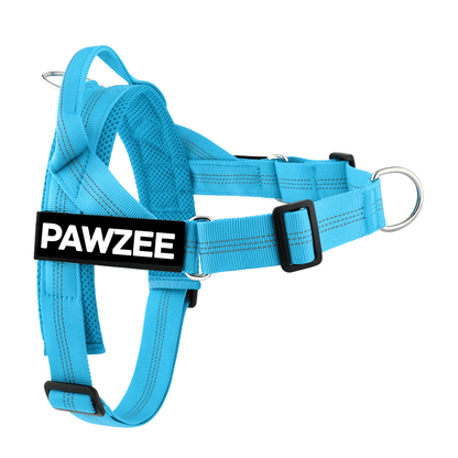Personalised Dog Harness
