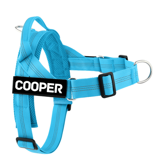 Personalised Dog Harness