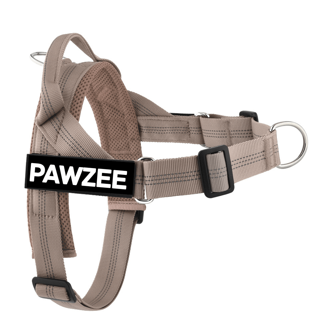 Personalised Dog Harness - TAN