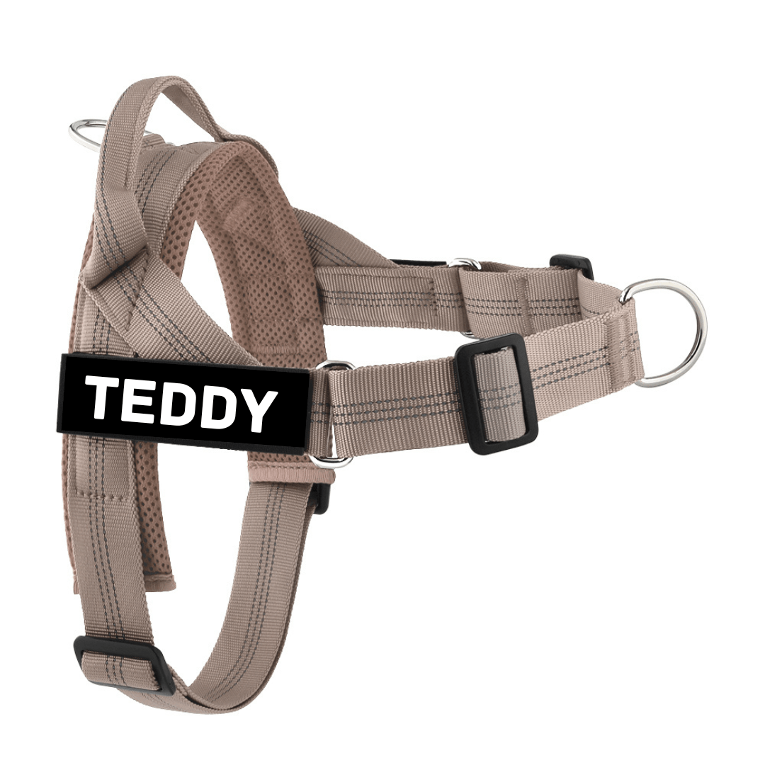 Personalised Dog Harness - TAN