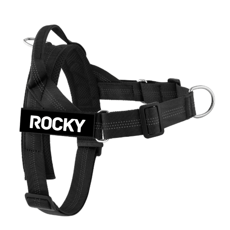 Personalised Harness - Black