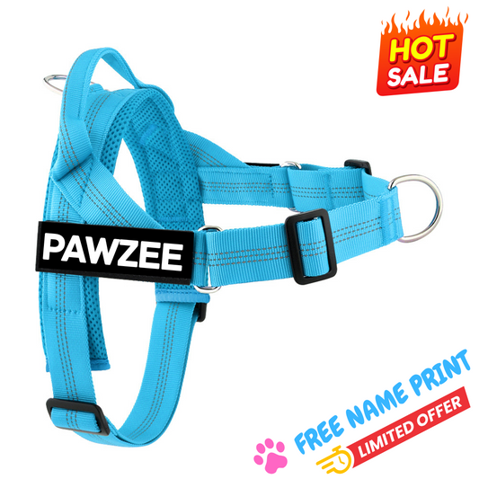 Blue Personalised Dog Harness - Comfy, Custom & Cute