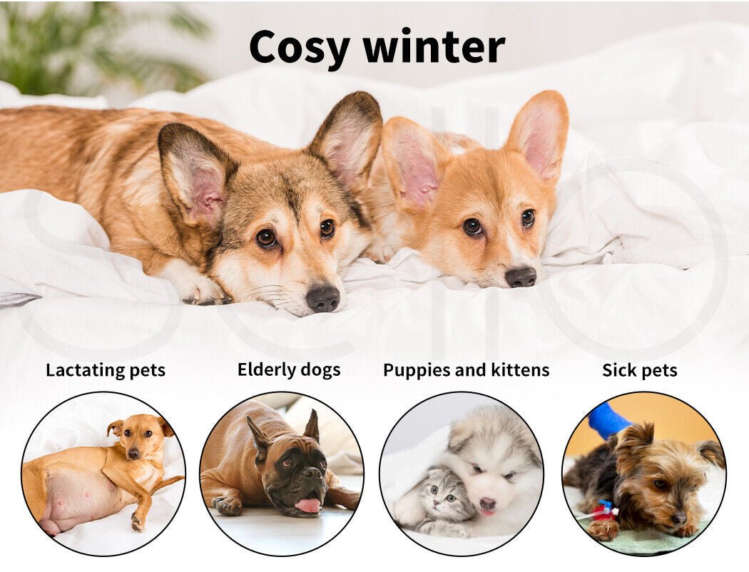 Pawz Electric Pet Heater Bed Heated Mat Cat Dog Heat Blanket Removable Cover